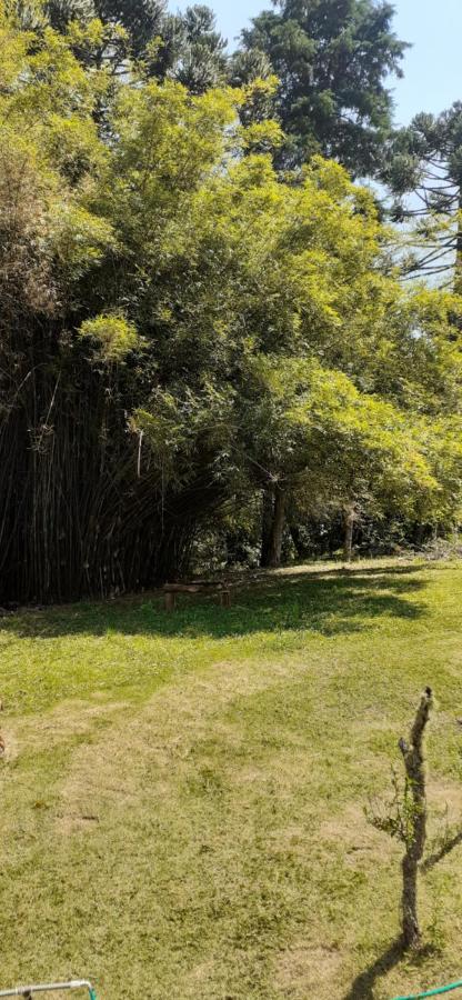 Pousada Pedacinho Do Ceu- Chale 1 Кунья Экстерьер фото